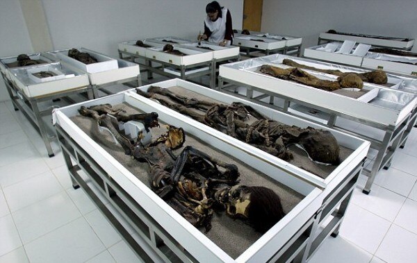 39CA3A7D00000578-3879760-image-a-9_1477654185542