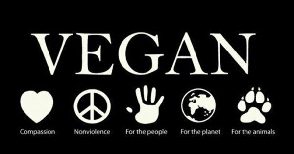 vegan7