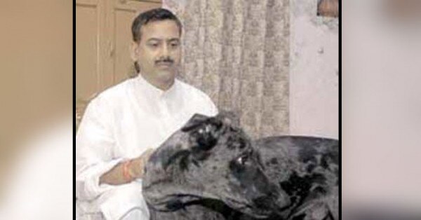 कृष्णानंद राय