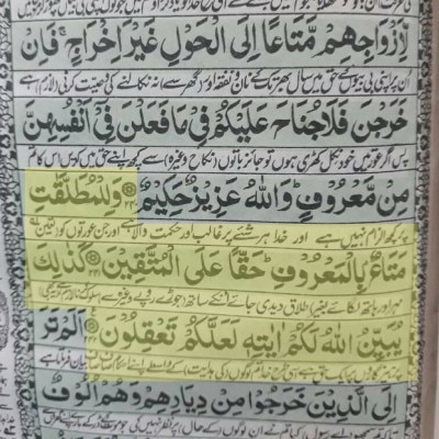 रंगीन लाइन में आयत 241 और 242 हैं, ये क़ुरान की फोटो है.