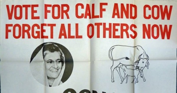 cow