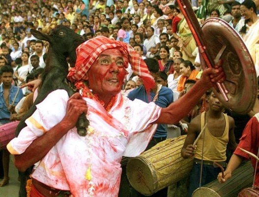 An Indian Hindu devotee daubed in colour carries goat to sacrifice during annual Devadhanni festival at Kamakhya. An Indian Hindu devotee daubed in colour carries a goat to sacrifice during the annual Devadhanni festival at Kamakhya temple near Guwahati, the major city of India's northeastern state of Assam August 19, 2004. REUTERS/Utpal Baruah
