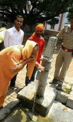yogi