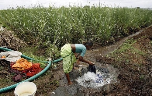A woman washes clothes in a sugarcane field in Junnar, 165 km (104 miles) southeast of Mumbai, August 18, 2009. Millions of Indians from rice-dependent families in the poverty-stricken plains of northern Bihar state to the sugarcane farmers of western India are struggling for survival as India stares at a drought. India's monsoon rains have been 26 percent below normal since the start of the June-September season, hurting crops like cane, paddy, soyabean and triggering a sharp rise in food prices. Picture taken August 18, 2009. REUTERS/Punit Paranjpe (INDIA AGRICULTURE ENVIRONMENT)