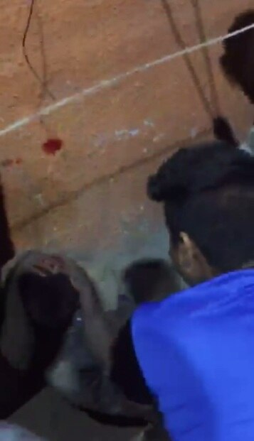दीवार पर लड़के के सिर से बह रहा खून लगा गया, लेकिन उसकी पिटाई नहीं रुकी