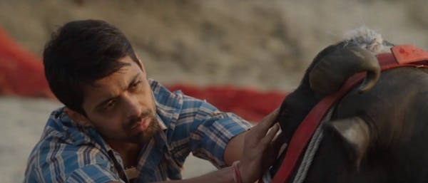 विनोद 'पीहू' से पहले 'मिस टनकपुर हाज़िर हो' बना चुके हैं