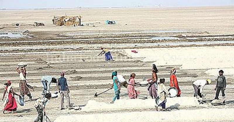 surendra nagar salt