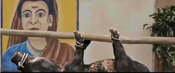 भारतीय समाज विडंबनाओं से ठसाठस भरा संदूक है.