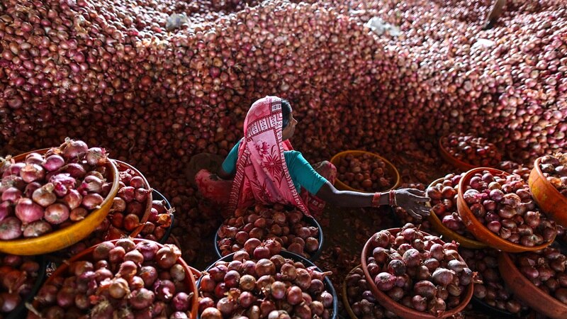 सरकार खरीफ की फसलों के लिए न्यूनतम समर्थन मूल्य लागत का डेढ़ गुना करने पर विचार कर रही है. (फोटोः रॉयटर्स)