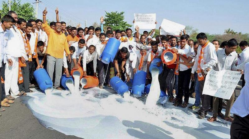 पिछली बार किसानों ने दूध बहाकर उसकी सप्लाई रोकी थी, इस बार खुद मुंबई जा रहे हैं. (फोटोःपीटीआई)