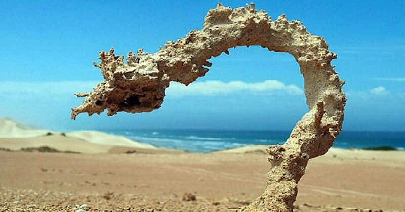 Fossil