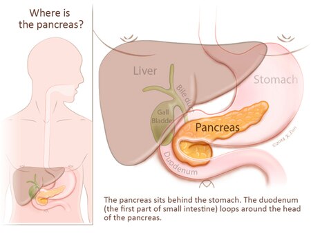 Image Courtesy: http://pathology.jhu.edu