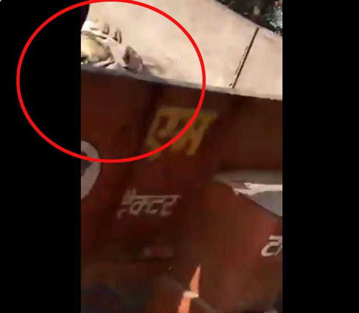 वीडियो के एक बेहद छोटे फ्रेम में ट्रैक्टर के अंदर क्या है, इसका भी शॉट है. हम दावे से तो नहीं कह सकते. मगर इस फ्रेम को देखकर लगता है कि गाय के शरीर के टुकड़े जैसा कुछ है अंदर. वीडियो में बात भी यही हो रही है कि कटी हुई गाय को ट्रॉली के अंदर रखकर लाए.