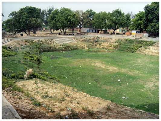Lamahi