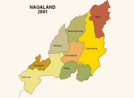 इस आर्टिकल के तहत नागालैंड के लिए विशेष प्रावधान हैं. इनमें भी पीले वाले हिस्से त्युएनसांग के लिए राज्यपाल को और भी ताकत दी गई है.