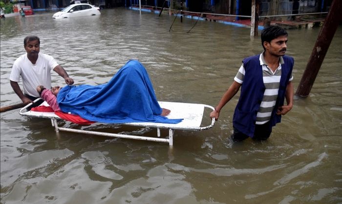 ये तस्वीर ध्यान से देखिए, देख चुके तो एक बार और देखिए. इसे सरसरी निगाह से नहीं देखा जाना चाहिए. स्ट्रेचर घसीटकर ले जाया जा रहा है, और इस स्ट्रेचर पर इस महिला के साथ सरकारी व्यवस्था भी धराशायी है