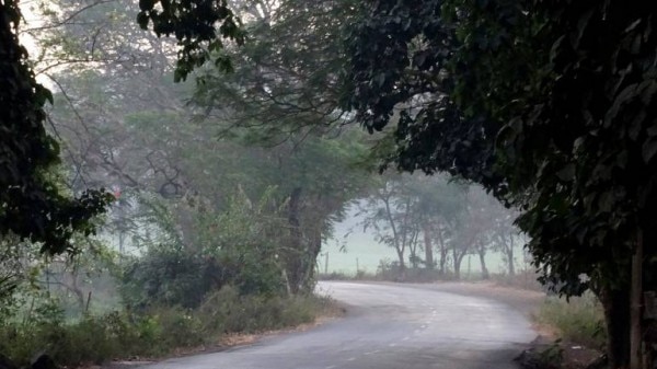 इस जंगल को बचाने के लिए फ़िल्मी हस्तियाँ और नेता भी जुट गए हैं