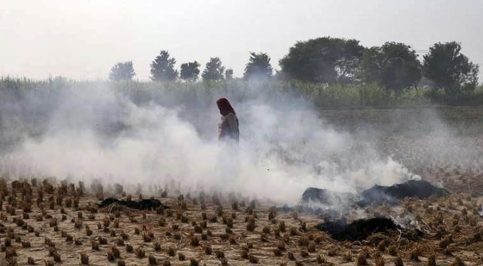 पराली जलाने से हरियाणा और पंजाब में भी हवा इतनी ज़हरीली हो गई है कि अब सरकारें बैठकर तमाशा