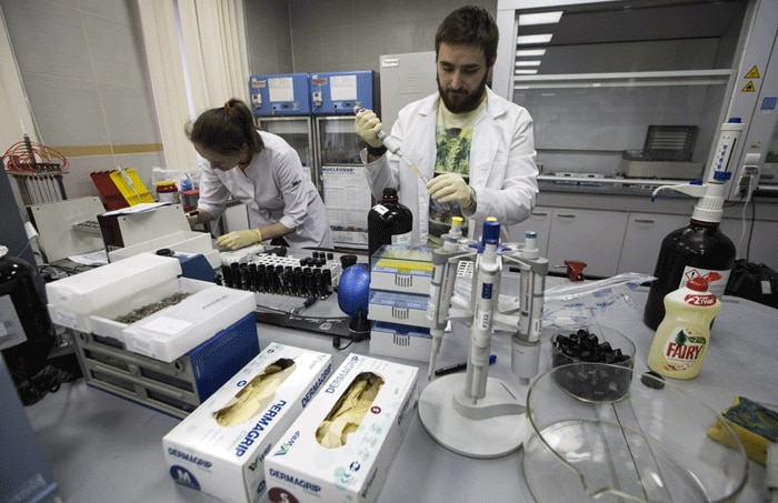 Lab Technicians Work At Rus