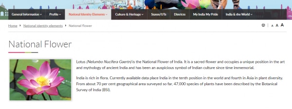 National Flower