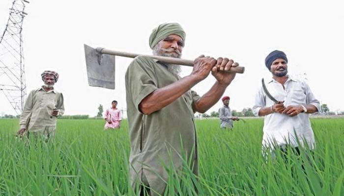 फसल बीमा योजना के बारे में मोदी सरकार ने दावा किया था कि इससे किसानों को आर्थिक सुरक्षा मिलेगी. फसल बीमा योजना के बारे में मोदी सरकार ने दावा किया था कि इससे किसानों को आर्थिक सुरक्षा मिलेगी.