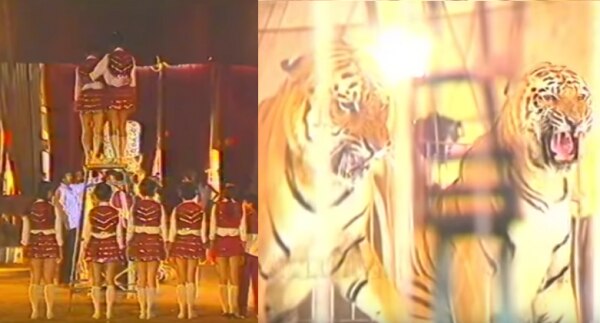 'सर्कस' सीरियल के दो सीन Circus Real