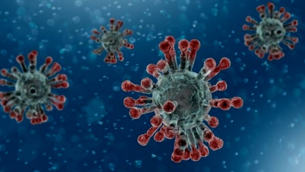 प्रतीकात्मक फोटो Coronavirus India