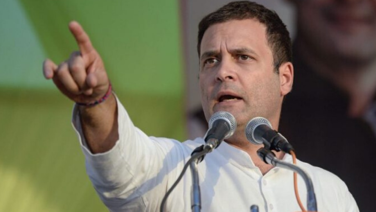 कांग्रेस सांसद राहुल गांधी (फोटो: पीटीआई) Rahul Gandhi