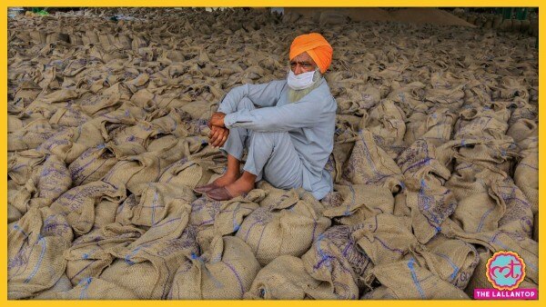 सांकेतिक फोटो लॉकडाउन में क्रय केंद्रों तक किसानों को अपनी फसल पहुंचाने में किन दिक्कतों का सामना करना पड़ रहा है, खुद किसानों ने बताया. (फोटो-पीटीआई)