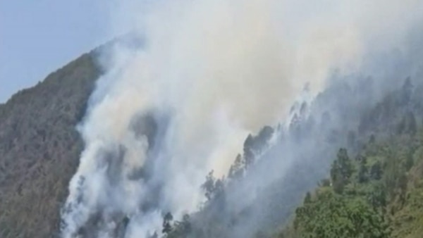 चमोली के जंगलों में लगी आग. (फोटो- दिलीप सिंह) Uttarakhand Forest Fire