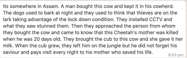 वॉट्सऐप पर वायरल हो रही तस्वीरें और साथ में शेयर की जा रही कहानी.