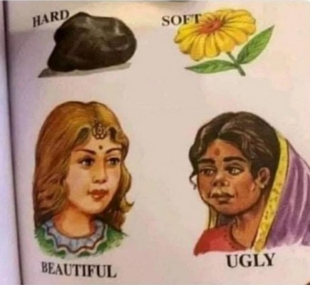 रंगभेद दर्शाती हुई एक अन्य स्कूली किताब की फोटो Beautiful Ugly