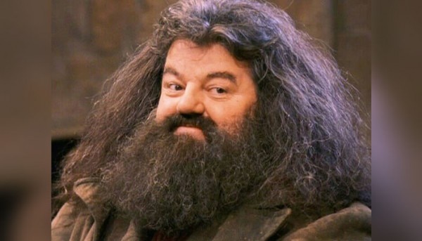 हैरी पॉटर फिल्म में हैग्रिड का किरदार निभाया था रॉबी कौल्ट्रेन ने. Hagrid