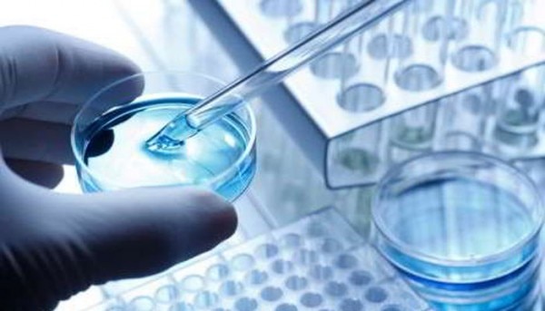 केरल हाई कोर्ट (Kerala High Court) ने कहा कि IVF के जरिए मां बनी महिला को बच्चे रजिस्ट्रेशन के लिए उसके पिता का नाम बताना जरूरी नहीं है. (प्रतीकात्मक तस्वीर) केरल हाई कोर्ट (Kerala High Court) ने कहा कि IVF के जरिए मां बनी महिला को बच्चे रजिस्ट्रेशन के लिए उसके पिता का नाम बताना जरूरी नहीं है. (प्रतीकात्मक तस्वीर)