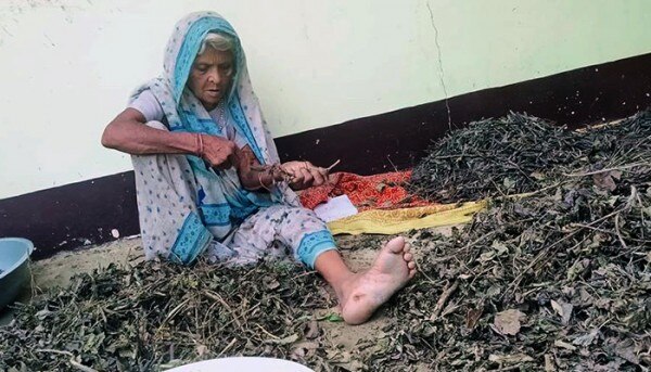 तीजिया नानी से कभी किसी ने उनका अपना नाम नहीं पूछा था. (तस्वीर: श्रेया पांडेय) Tijiya Nani 700x400
