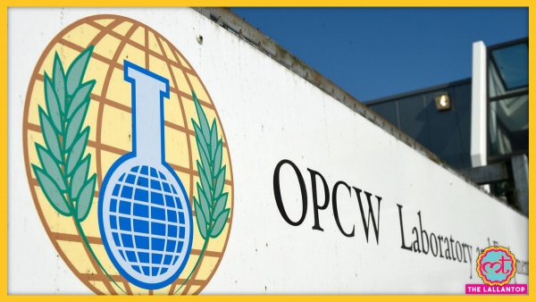 नीदरलैंड्स के हेग OPCW का मुख्यालय है. (फोटो: एएफपी) Opcw
