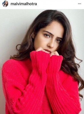 मालवी की फ़ाइल फोटो. Malvi 1