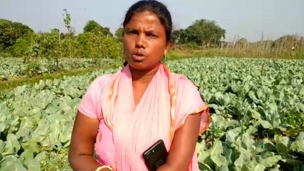 उषा कुमारी, दिव्यांग हैं, लेकिन फिर भी सफल किसान बनीं. (फोटो- आकाश) Usha Kumari