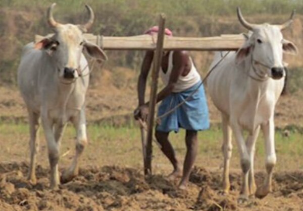 इस कृषि औजार का नाम बताइए?