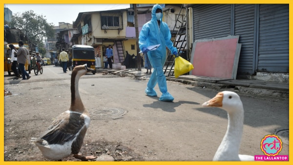 लॉकडाउन हो रहा है होने दो, लेकिन सवाल दागने के पहले ख़ुद को देखो. सांकेतिक तस्वीर महाराष्ट्र की है. (PTI) Lockdown Maharashtra