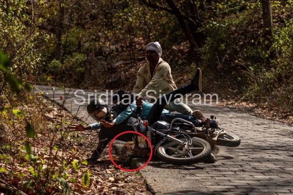 तस्वीर- facebook.com/srisiv Leopard