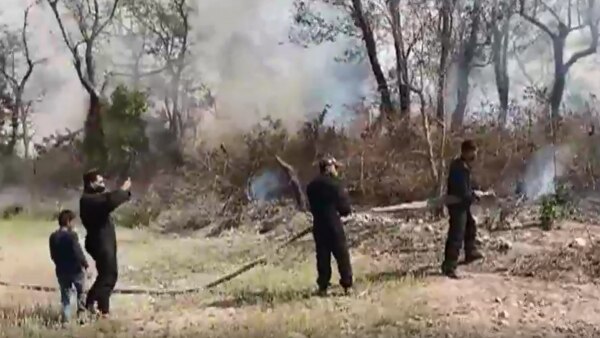 जंगल में लगी आग बुझाते दमकलकर्मी. फोटो सोर्स- आजतक Fire