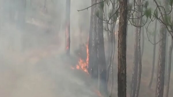 दिन और रात सुलग रहे हैं जंगल. फोटो सोर्स- आजतक Uttarakhand Fire