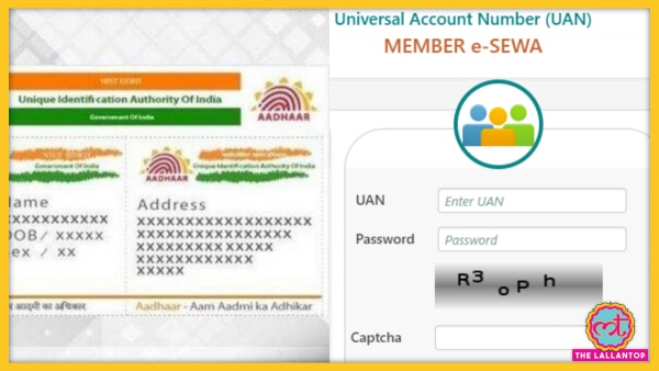 PF खातों और UAN को आधार से ऑनलाइन और ऑफलाइन दोनों तरीकों से लिंक कर सकते हैं. PF खातों और UAN को आधार से ऑनलाइन और ऑफलाइन दोनों तरीकों से लिंक कर सकते हैं.