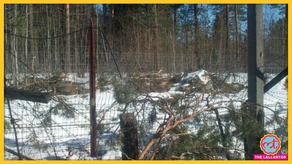 Sverdlovsk Anthrax Outbreak बाद के सालों में रूस ने माना कि स्वेदलॉव्स्क में फैली ऐंथ्रेक्स महामारी की असली वजह सोवियत सेना की गतिविधियां थीं. (तस्वीर: एएफपी)