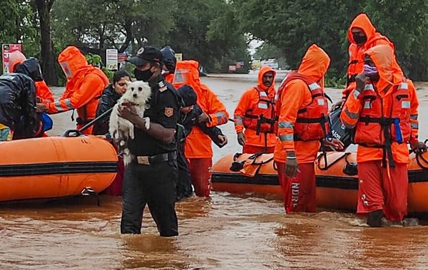 बचाव कार्य में लगी एनडीआरएफ की एक टीम. (पीटीआई) Ndrf Pti