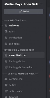 डिसकॉर्ड सर्वर पर बनाया गया हिंदू गर्ल्स और मुस्लिम बॉयज नाम का ग्रुप. 