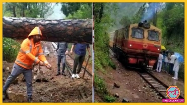 हिमाचल प्रदेश के सोलन में रेलवे ट्रैक पर भारी पेड़ गिरा. (स्क्रीनशॉट्स- आजतक) heavy rain