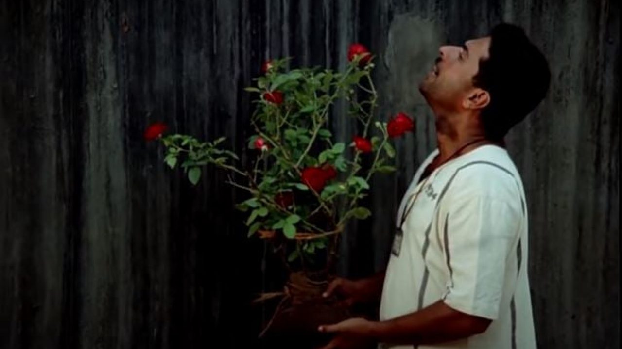 मस्ट, मस्ट वॉच फिल्म. 1
