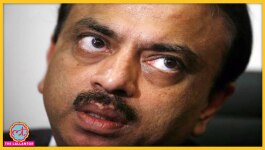 पैंडोरा पेपर्स: लक्ष्मी निवास मित्तल के भाई प्रमोद मित्तल पर बड़ी टैक्स चोरी और धोखाधड़ी का आरोप 